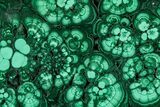 Flowery Polished Malachite Slab - DR Congo #360537-1